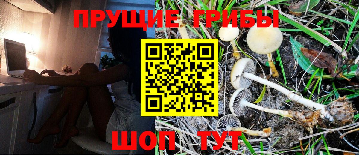 Псилоцибиновые грибы мицелий  Галлюциногенные грибы Psilocybine cubensis  Обнинск  продажа наркотиков  Вход с VPN 